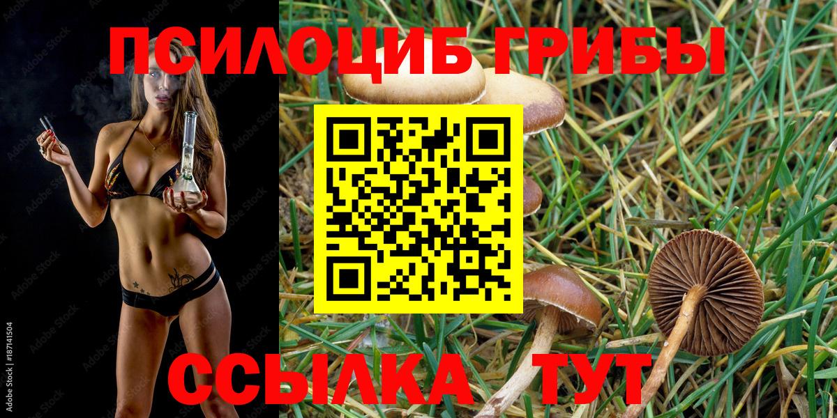 Галлюциногенные грибы ЛСД  Галлюциногенные грибы Magic Shrooms  Вход с VPN  Лесной 