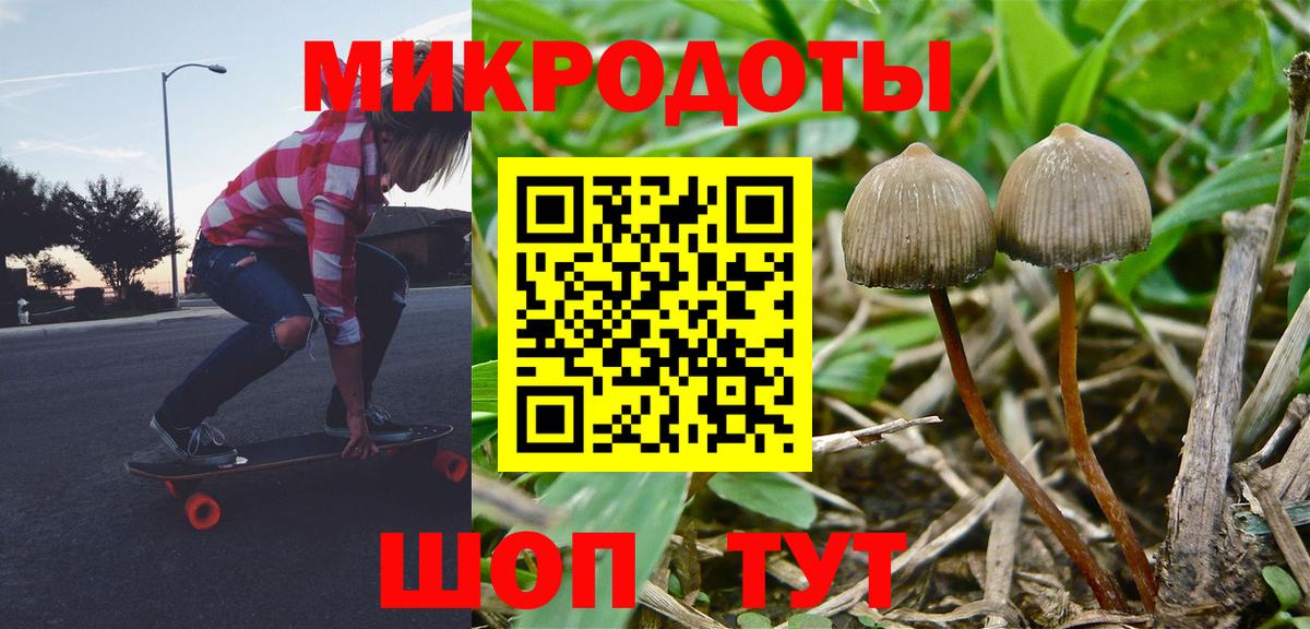 Псилоцибиновые грибы Cubensis Лесной